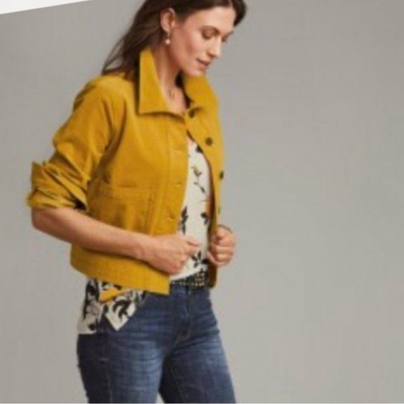 CAbi Tops - CAbi Birdwatcher 3963 top ruffle sleeve size medium